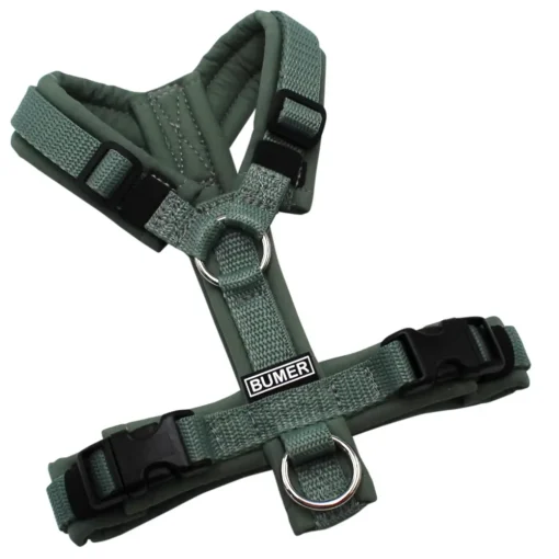 BUMER Hundegeschirr, gepolstert ohne geteilten Bruststeg, Größe XXS, Gurtband Salbei, Softshell Schilfgrün, Ringe silberfarbig (Edelstahl), Schnallen schwarz (DURAFLEX®)