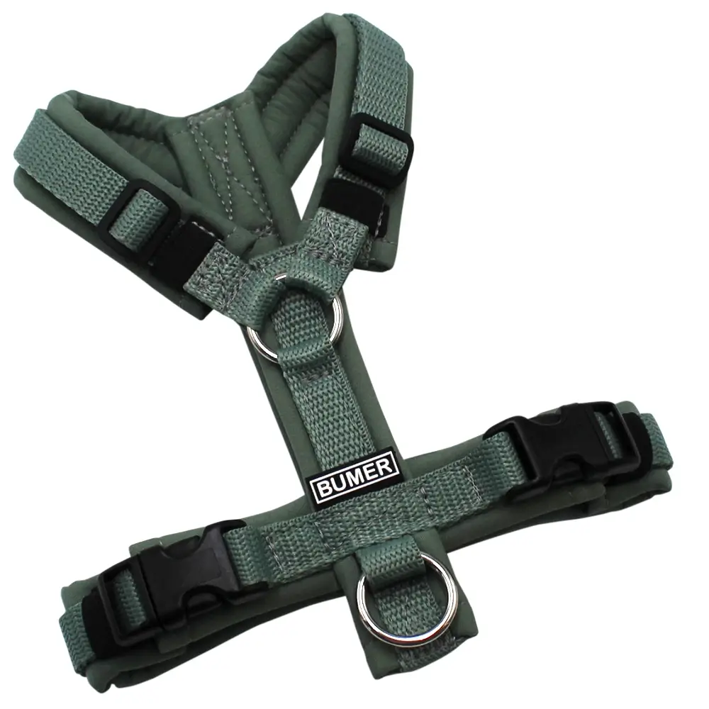 BUMER Hundegeschirr, gepolstert ohne geteilten Bruststeg, Größe XXS, Gurtband Salbei, Softshell Schilfgrün, Ringe silberfarbig (Edelstahl), Schnallen schwarz (DURAFLEX®)