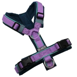 BUMER Hundegeschirr, gepolstert ohne geteilten Bruststeg, Größe XXS, Gurtband Violet, Softshell Petrolshade, Ringe silberfarbig (Edelstahl), Schnallen schwarz (DURAFLEX®), Paspel