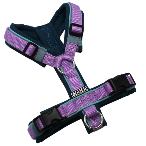 BUMER Hundegeschirr, gepolstert ohne geteilten Bruststeg, Größe XXS, Gurtband Violet, Softshell Petrolshade, Ringe silberfarbig (Edelstahl), Schnallen schwarz (DURAFLEX®), Paspel