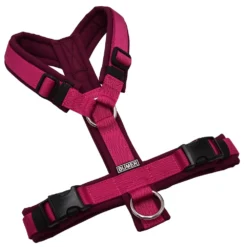 BUMER Hundegeschirr, gepolstert ohne geteilten Bruststeg, Zwischengröße XS/S, Gurtband PREMIUM Fuchsia Flare, Softshell Rubintango, Ringe silberfarbig (Edelstahl)