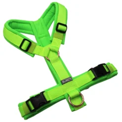 BUMER Hundegeschirr, gepolstert ohne geteilten Bruststeg, Zwischengröße XS/S, Gurtband PREMIUM Neonlime, Softshell Neongrün, Ringe rosegoldfarbig, Schnallen schwarz (DURAFLEX®)