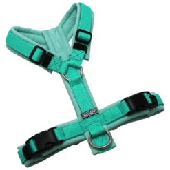 BUMER Hundegeschirr, gepolstert ohne geteilten Bruststeg, Zwischengröße XS/S, Gurtband PREMIUM X Minze, Softshell Jadenluft, Ringe silberfarbig (Edelstahl), Schnallen schwarz