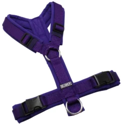 BUMER Hundegeschirr, gepolstert ohne geteilten Bruststeg, Zwischengröße XS/S, Gurtband PREMIUM X Twilight Plum, Softshell Lila Viola, Ringe silberfarbig (Edelstahl), Schnallen schwarz (DURAFLEX®)