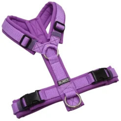 BUMER Hundegeschirr, gepolstert ohne geteilten Bruststeg, Zwischengröße XS/S, Gurtband Violet, Softshell Hortensien Lila, Ringe silberfarbig (Edelstahl)