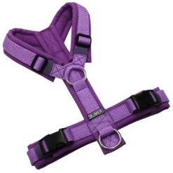 BUMER Hundegeschirr, gepolstert ohne geteilten Bruststeg, Zwischengröße XS/S, Gurtband Violett, Softshell Hortensien Lila, Ringe silberfarbig (Edelstahl), Schnallen schwarz (DURAFLEX®)