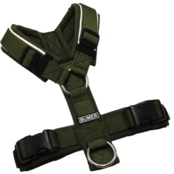 BUMER Hundegeschirr, gepolstert ohne geteilten Bruststeg, Zwischengröße XXS/XS, Gurtband PREMIUM Wiesensalbei, Softshell Olive, Ringe silberfarbig (Edelstahl), Schnallen schwarz (DURAFLEX®)
