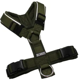 BUMER Hundegeschirr, gepolstert ohne geteilten Bruststeg, Zwischengröße XXS/XS, Gurtband PREMIUM Wiesensalbei, Softshell Olive, Ringe silberfarbig (Edelstahl), Schnallen schwarz (DURAFLEX®)