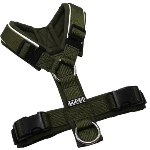 BUMER Hundegeschirr, gepolstert ohne geteilten Bruststeg, Zwischengröße XXS/XS, Gurtband PREMIUM Wiesensalbei, Softshell Olive, Ringe silberfarbig (Edelstahl), Schnallen schwarz (DURAFLEX®)
