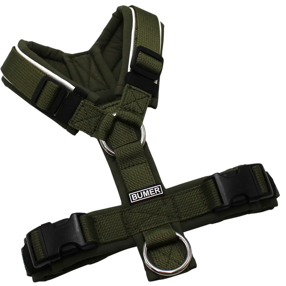 BUMER Hundegeschirr, gepolstert ohne geteilten Bruststeg, Zwischengröße XXS/XS, Gurtband PREMIUM Wiesensalbei, Softshell Olive, Ringe silberfarbig (Edelstahl), Schnallen schwarz (DURAFLEX®)