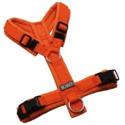 BUMER Hundegeschirr, gepolstert ohne geteilten Bruststeg, Zwischengröße XXS/XS, Gurtband Orange, Softshell Naranjada, Ringe silberfarbig (Edelstahl), Schnallen schwarz (DURAFLEX®)