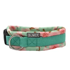 BUMER Steckhalsband, Hundehalsband für Hunde, gepolstert, Halsumfang 31cm, Gurtband PREMIUM X Mint, Softshell Minty Blossom, Ringe silberfarbig (Edelstahl)