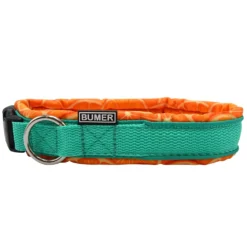 BUMER Steckhalsband, Hundehalsband für Hunde, gepolstert, Halsumfang 39cm, Gurtband PREMIUM X Minze, Softshell Orangen, Ringe silberfarbig (Edelstahl)