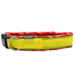 BUMER Steckhalsband, Hundehalsband für Hunde, gepolstert, Halsumfang 44cm, Gurtband PREMIUM X Zitrinzauber, Softshell Erdbeeren, Ringe silberfarbig (Edelstahl)