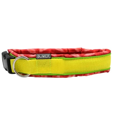 BUMER Steckhalsband, Hundehalsband für Hunde, gepolstert, Halsumfang: 44cm, Gurtband: PREMIUM X Zitrinzauber, Softshell: Erdbeeren, Ringe: silberfarbig (Edelstahl)