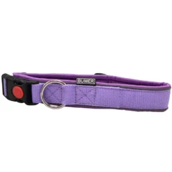 BUMER Steckhalsband, Hundehalsband für Hunde, gepolstert, Halsumfang 45cm, Gurtband PREMIUM X Violet Veil, Softshell Hortensien Lila, Ringe silberfarbig (Edelstahl), Schnalle mit Sicherung, Paspel grau REFLEX