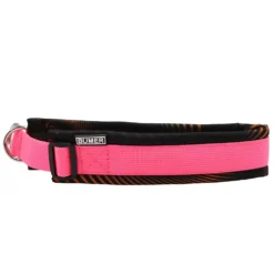 BUMER Zug-Stopp Halsband, Hundehalsband für Hunde, gepolstert, Halsumfang 43-50cm, Gurtband PREMIUM Vibrant Magenta, Softshell Rotary Orange, Ringe silberfarbig (Edelstahl)