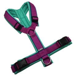 BUMER1000 Hundegeschirr, gepolstert ohne geteilten Bruststeg, Größe M, Gurtband PREMIUM X Fuchsia, Softshell TÜRKISTÖNE (TU-4301), Ringe silberfarbig (Edelstahl), Schnallen schwarz (DURAFLEX®)