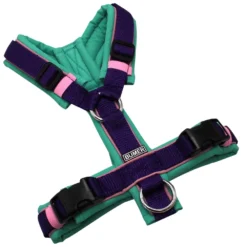 BUMER1000 Hundegeschirr, gepolstert ohne geteilten Bruststeg, Größe XS, Gurtband PREMIUM X Twilight Plum, Softshell Türkistöne (TU 7101), Ringe silberfarbig (Edelstahl), Schnallen schwarz (DURAFLEX®)