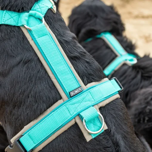 BUMER VenturFlex Pro CORDURA® STANDARD Sicherheitsgeschirr, Hundegeschirr – Bild 4