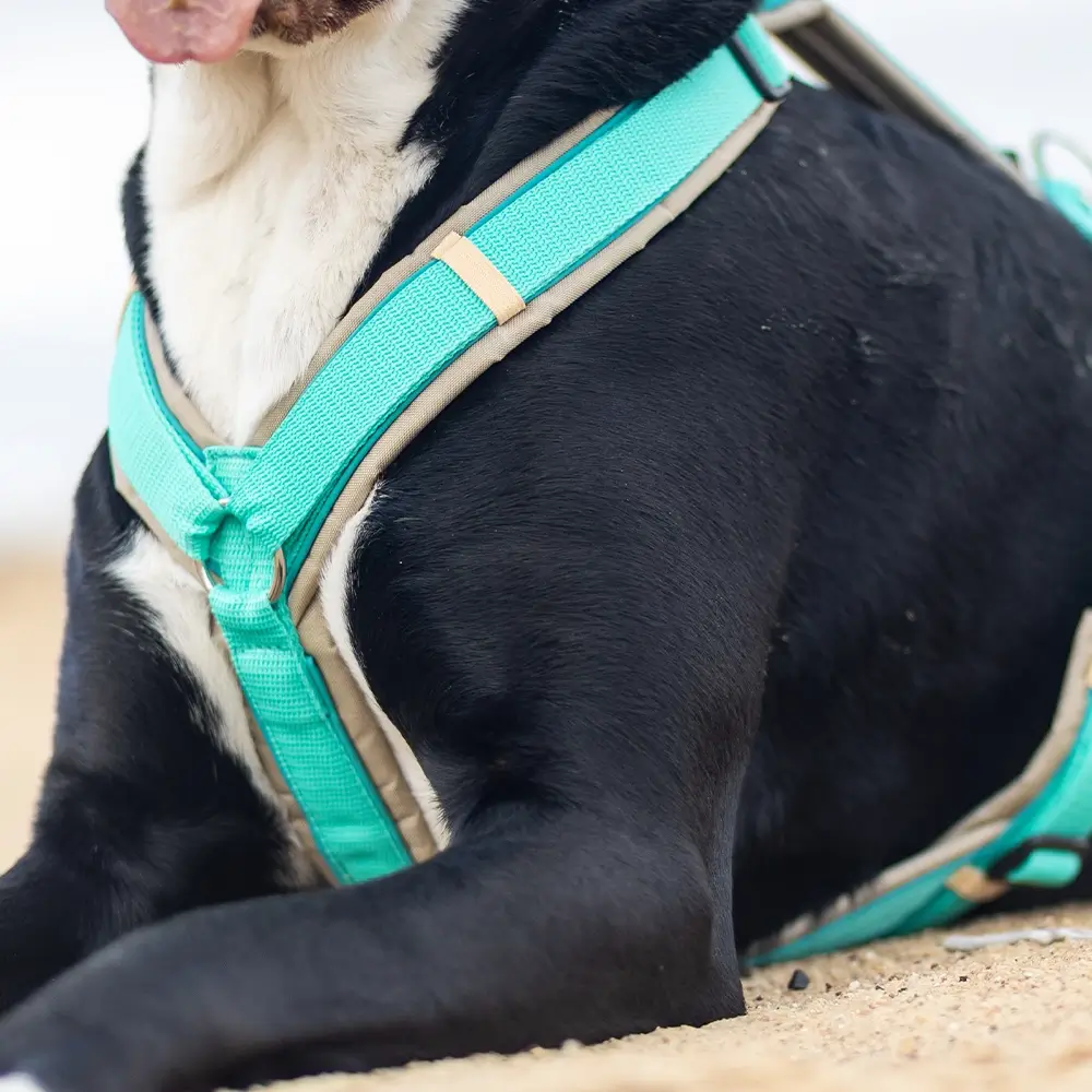 BUMER VenturFlex Pro CORDURA® STANDARD Sicherheitsgeschirr, Hundegeschirr – Bild 3