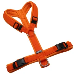 BUMER Hundegeschirr, gepolstert ohne geteilten Bruststeg, Größe S/M, Gurtband Orange, Softshell Naranjada, Ringe silberfarbig (Edelstahl), Schnallen schwarz
