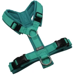 BUMER Hundegeschirr, gepolstert ohne geteilten Bruststeg, Größe XS, Gurtband Mint, Softshell Türkis Twirl, Ringe silberfarbig (Edelstahl), Schnallen schwarz