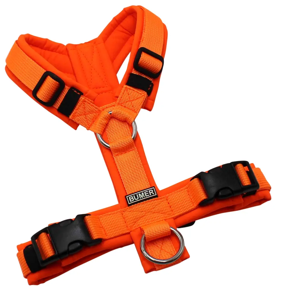 BUMER Hundegeschirr, gepolstert ohne geteilten Bruststeg, Größe XS, Gurtband PREMIUM Electric Pumpkin, Softshell Neonorange, Ringe silberfarbig (Edelstahl), Schnallen schwarz