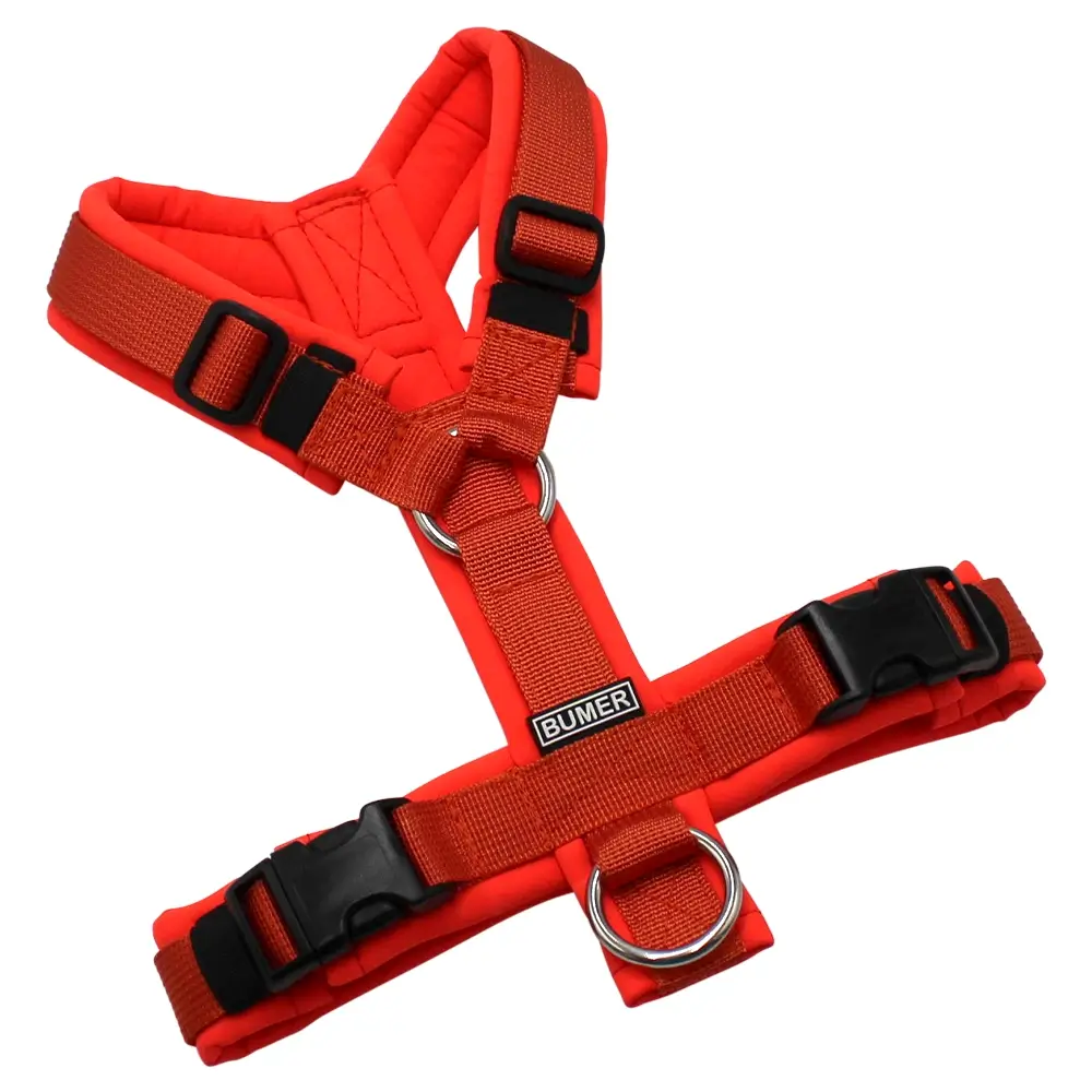 BUMER Hundegeschirr, gepolstert ohne geteilten Bruststeg, Größe XS, Gurtband PREMIUM Scarlett Essence, Softshell Neonrot, Ringe silberfarbig (Edelstahl), Schnallen schwarz