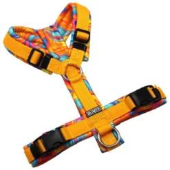 BUMER Hundegeschirr, gepolstert ohne geteilten Bruststeg, Zwischengröße XS/S, Gurtband Mais, Softshell LIQUID NEON TOUCH, Ringe silberfarbig (Edelstahl), Schnallen schwarz