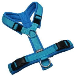 BUMER Hundegeschirr, gepolstert ohne geteilten Bruststeg, Zwischengröße XS/S, Gurtband PREMIUM Blue Lagoon, Softshell Eisvogelblau, Ringe silberfarbig (Edelstahl), Schnallen schwarz