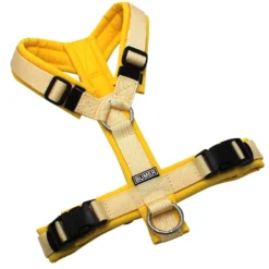 BUMER Hundegeschirr, gepolstert ohne geteilten Bruststeg, Zwischengröße XS/S, Gurtband PREMIUM Buttercreme, Softshell Sonnenblume, Ringe silberfarbig (Edelstahl), Schnallen schwarz