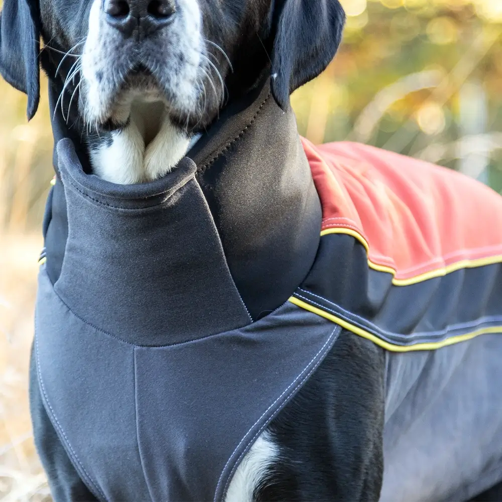 BUMER SOFTSHELL Hundepullover Ylvas Hundepulli