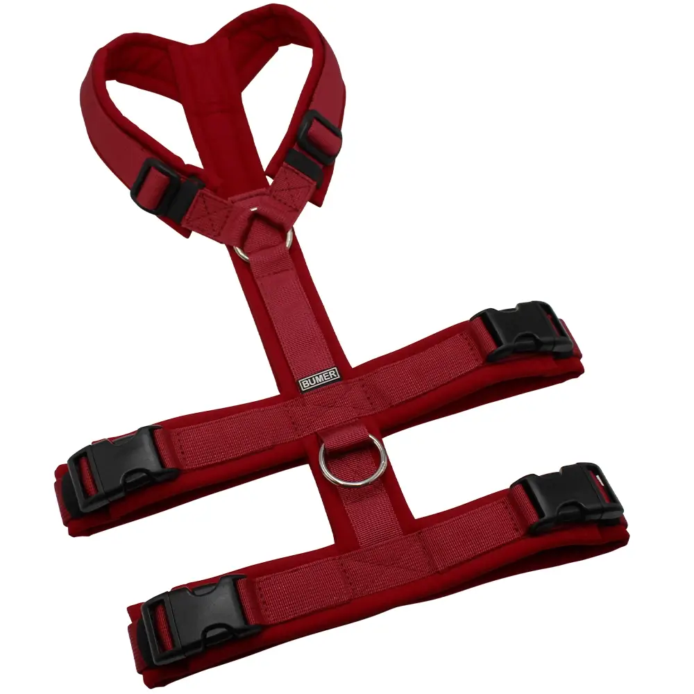 BUMER Sicherheitsgeschirr, gepolstert ohne geteilten Bruststeg, Größe M/L, Gurtband PREMIUM Berry Bordeaux, Softshell Rubin Royal, Ringe silberfarbig (Edelstahl), Schnallen schwarz (DURAFLEX®)