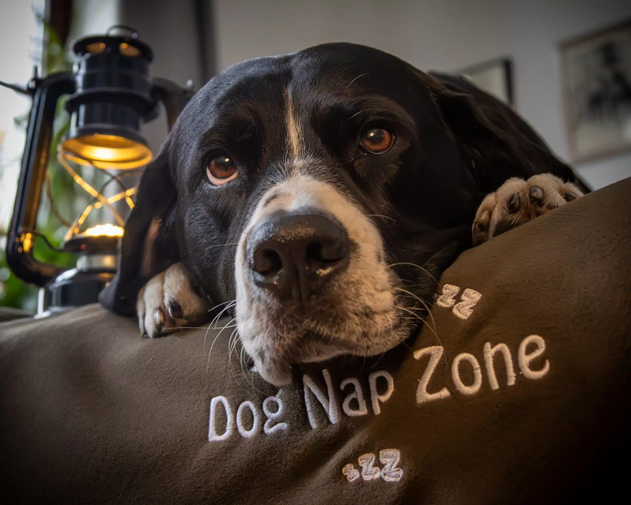 BUMER FLEECE Hundedecke, Kuscheldecke