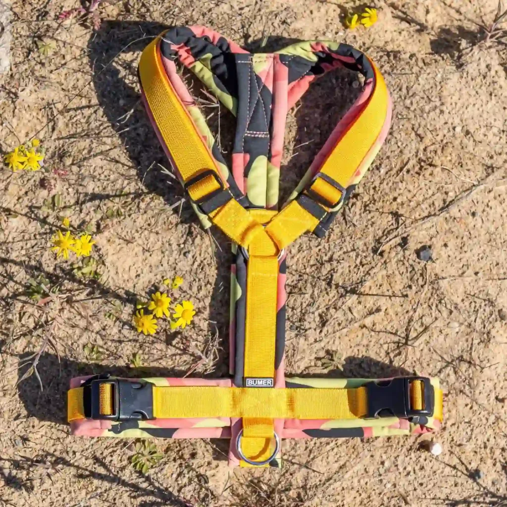 BUMER Hundegeschirr, COMOUFLAGE, (Softshell), komplett konfigurierbar