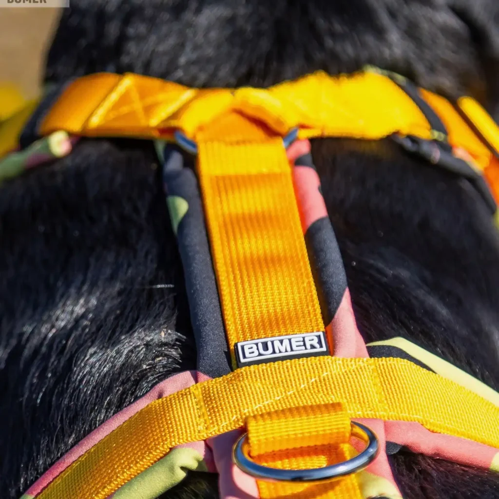 BUMER Hundegeschirr, COMOUFLAGE, (Softshell), komplett konfigurierbar