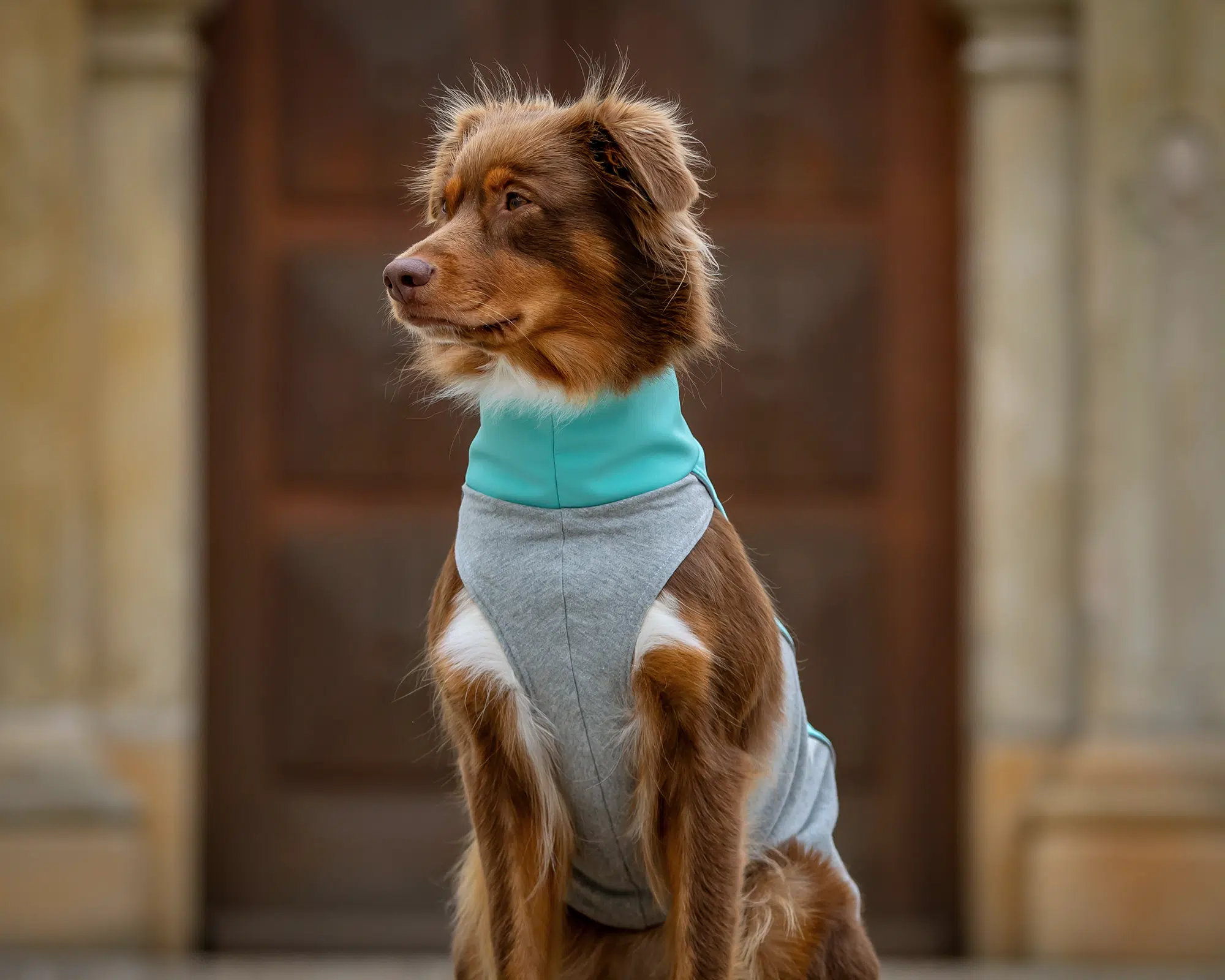 BUMER SOFTSHELL Hundepullover