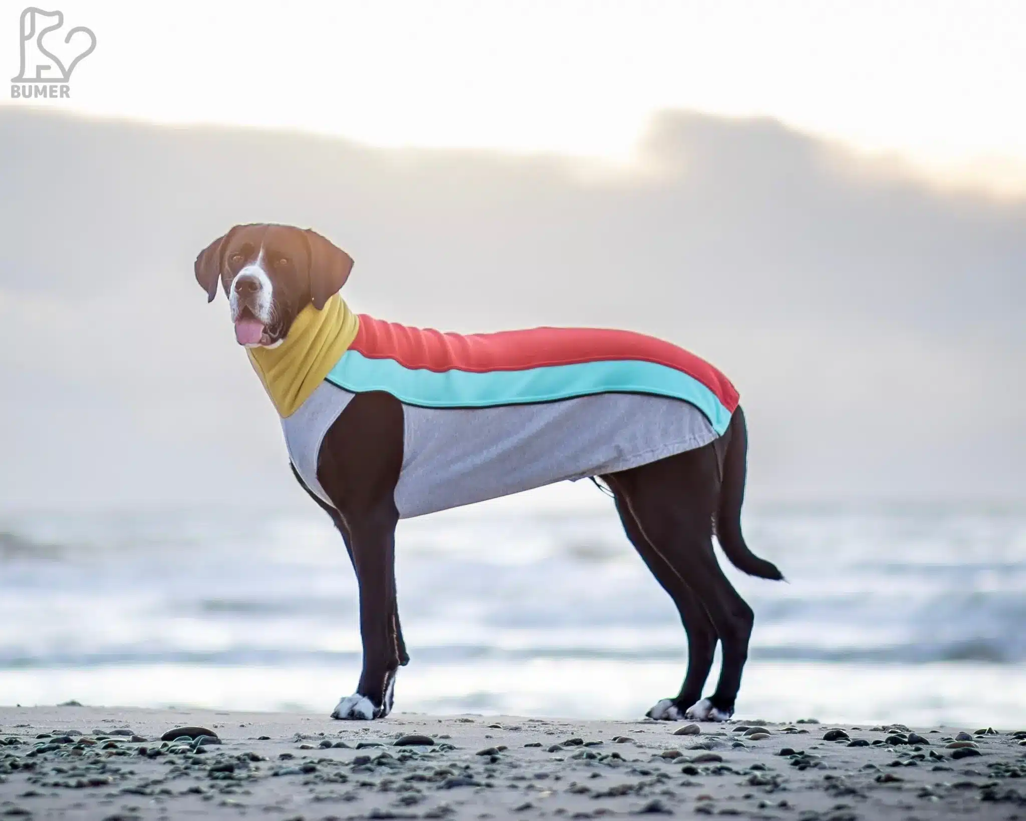 BUMER FLEECE Hundepullover