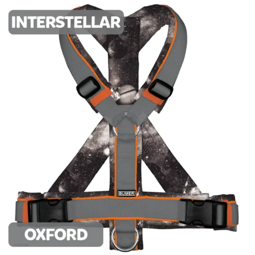 BUMER Hundegeschirr INTERSTELLAR gepolstert, (Oxford), komplett konfigurierbar