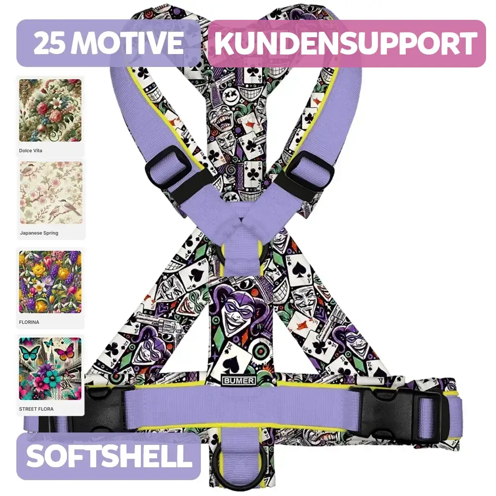 BUMER Hundegeschirr, gepolstert, (Softshell), komplett konfigurierbar KUNDENSUPPORT-KREATIV