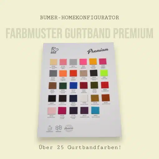 Farbmuster: BUMER PREMIUM Gurtband
