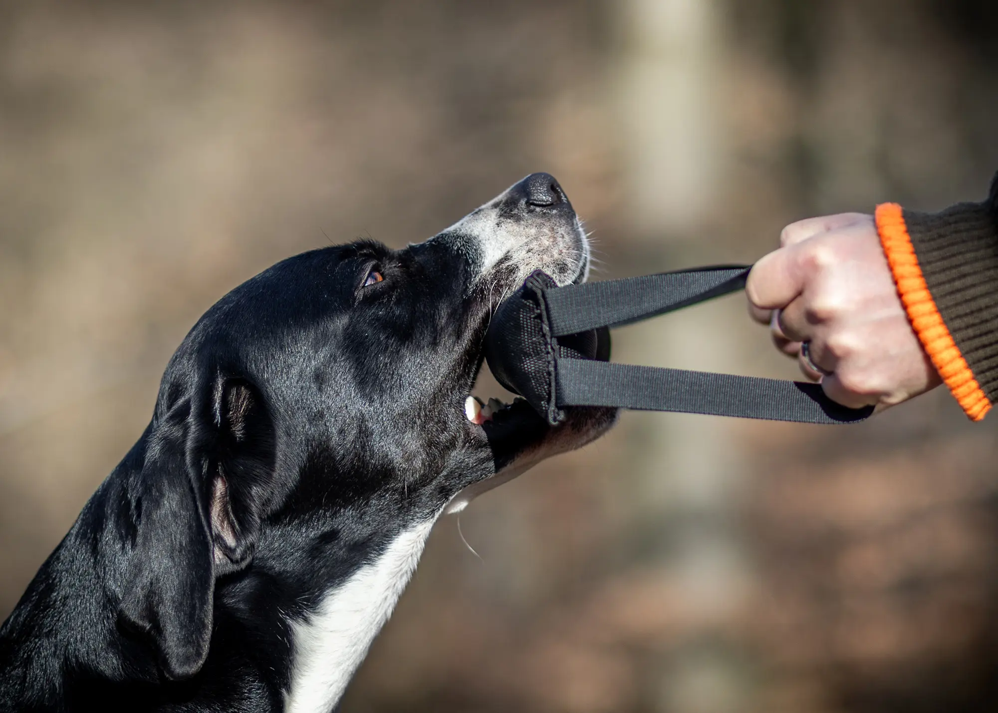 Beisswurst Trainingsdummy