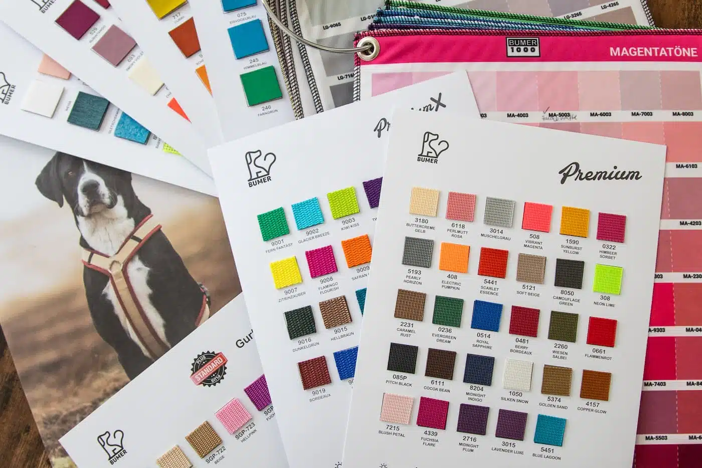 Farbmuster für das perfekte BUMER-Geschirr