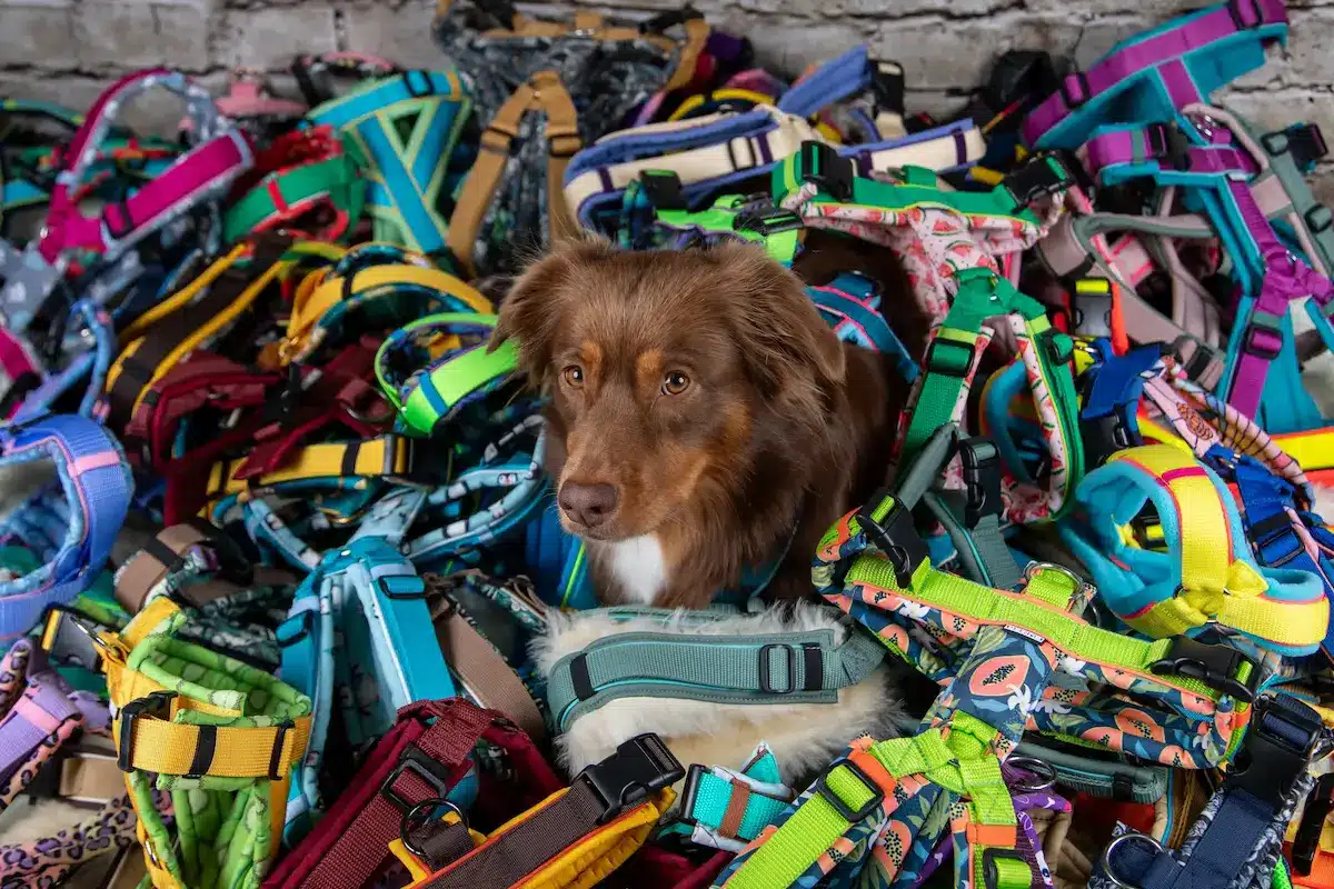 Über 500 Motive und sorgfältig ausgewählte Materialien