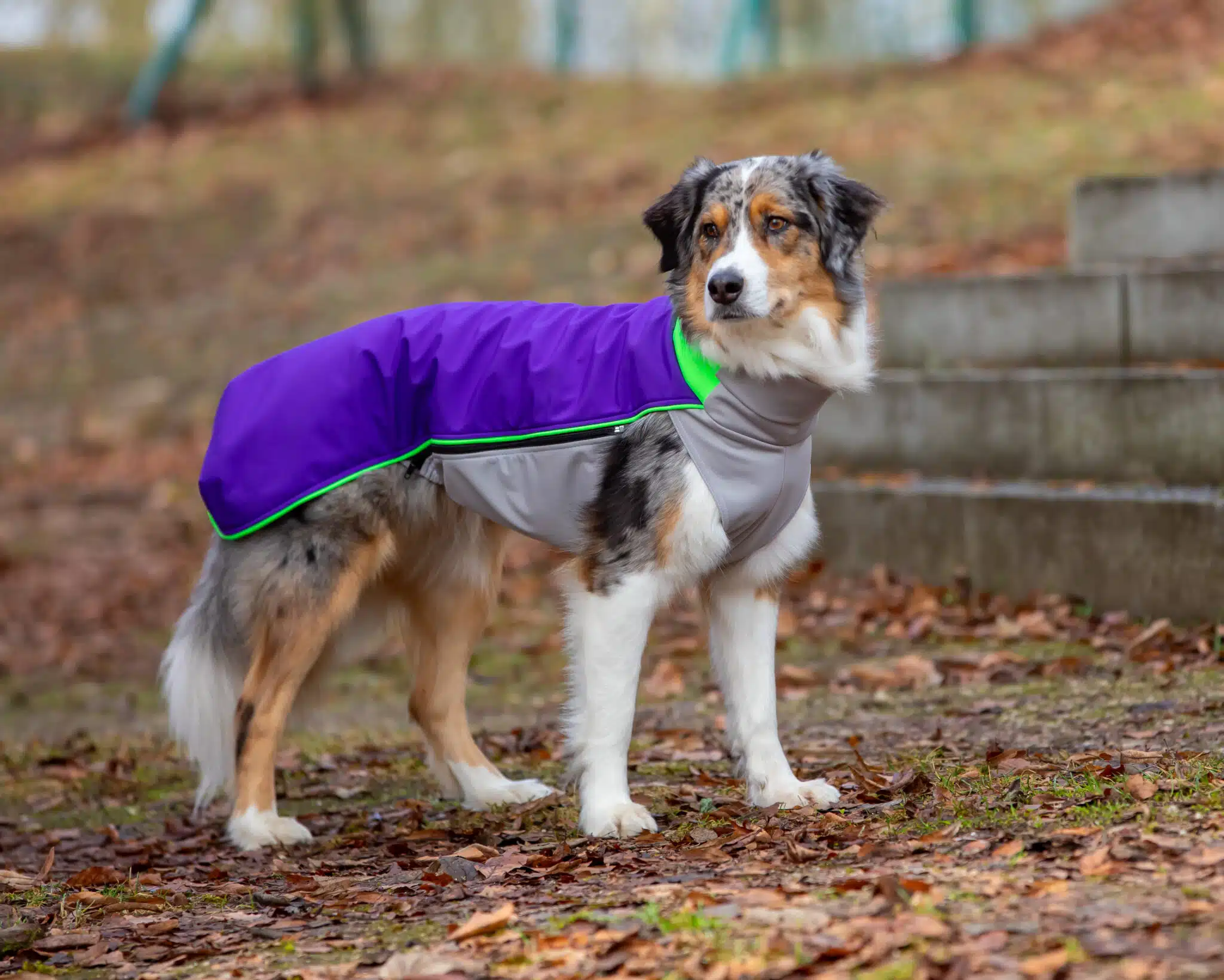 BUMER SOFTSHELL Hundepullover Cozy
