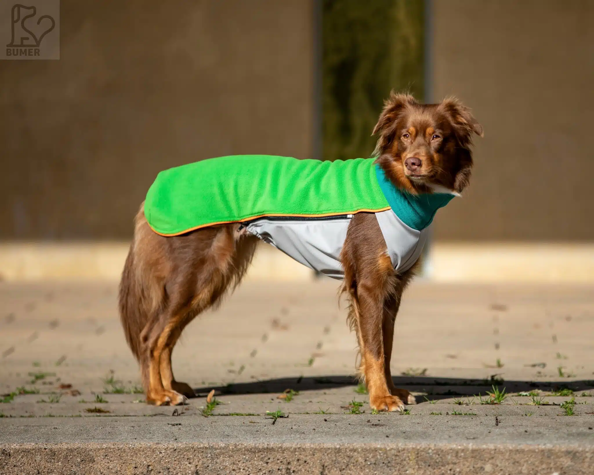 BUMER FLEECE Hundepullover Cozy