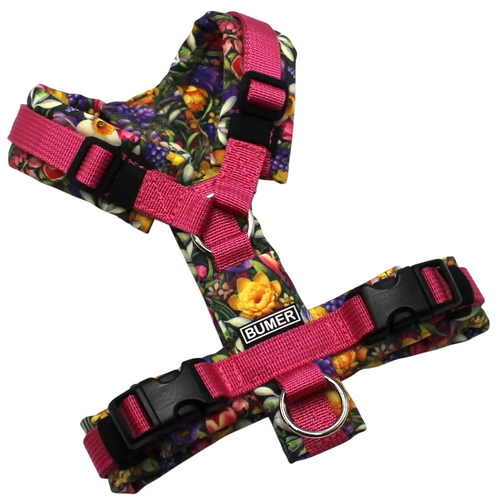 BUMER Hundegeschirr, Gurtband PREMIUM Himbeer Sorbet, Softshell Flurina, gepolstert ohne geteilten Bruststeg, Größe XXS, Ringe silberfarbig (Edelstahl), Schnallen schwarz (DURAFLEX®). Applikation