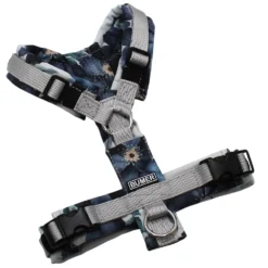 BUMER Hundegeschirr, Gurtband PREMIUM Muschelgrau, Softshell Black Dalia, gepolstert ohne geteilten Bruststeg, Größe XXS, Ringe silberfarbig (Edelstahl), Schnallen schwarz (DURAFLEX®), Applikation