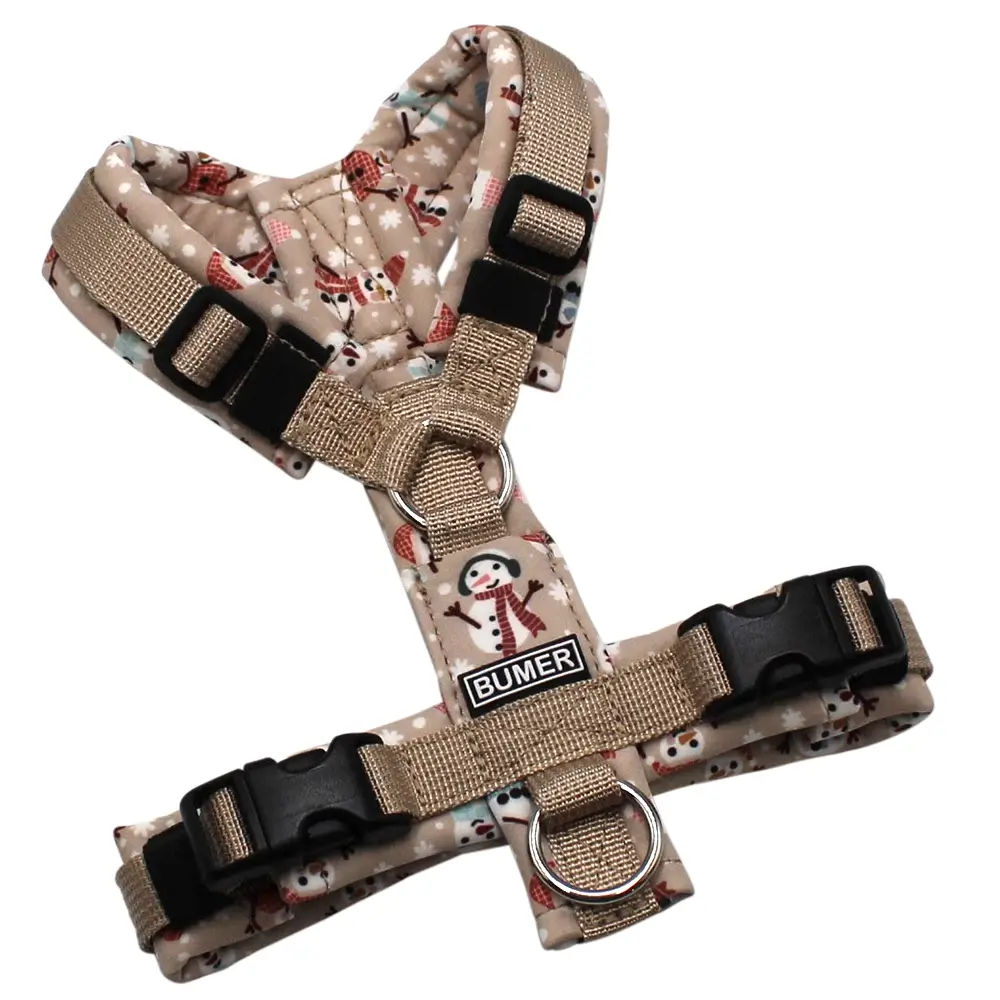 BUMER Hundegeschirr, Gurtband PREMIUM Soft Beige, Softshell Schal und Karotte, gepolstert ohne geteilten Bruststeg, Größe XXS, Ringe silberfarbig (Edelstahl), Schnallen schwarz (DURAFLEX®), Applikation